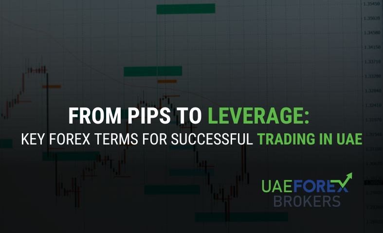 From Pips to Leverage: Key Forex Terms for Successful Trading in UAE