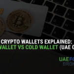Crypto Wallets Explained: Hot Wallet vs Cold Wallet (UAE Guide)